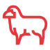 beef